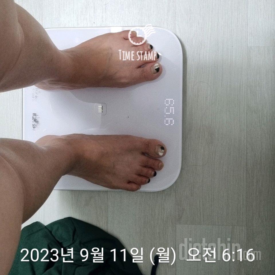 7일 아침 몸무게 재기1일차 성공!