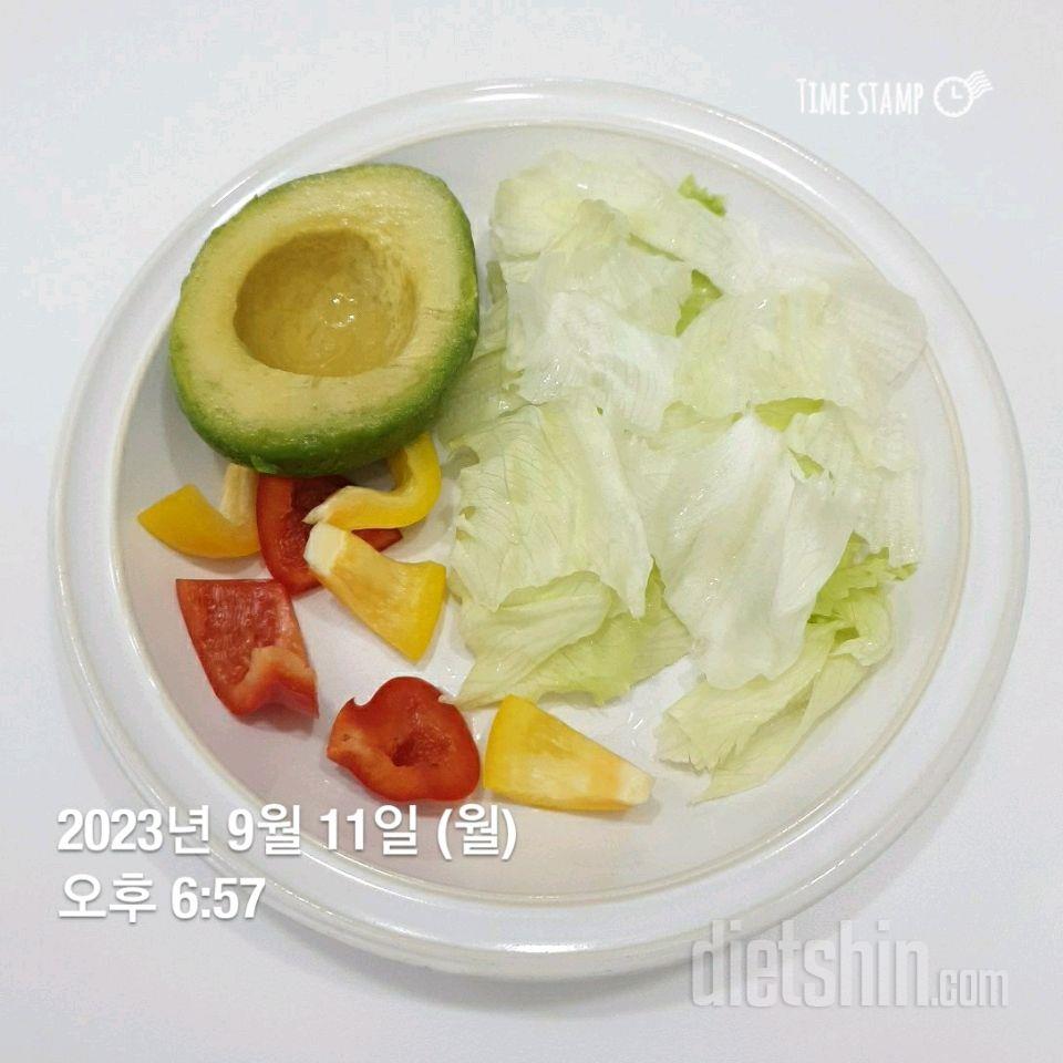 [다신21기] 11일 식단일기