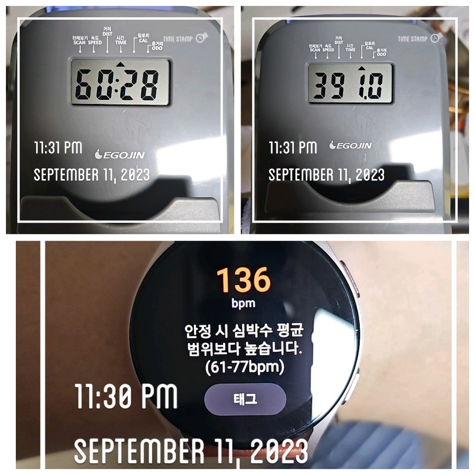 09월 11일( 운동 390kcal)