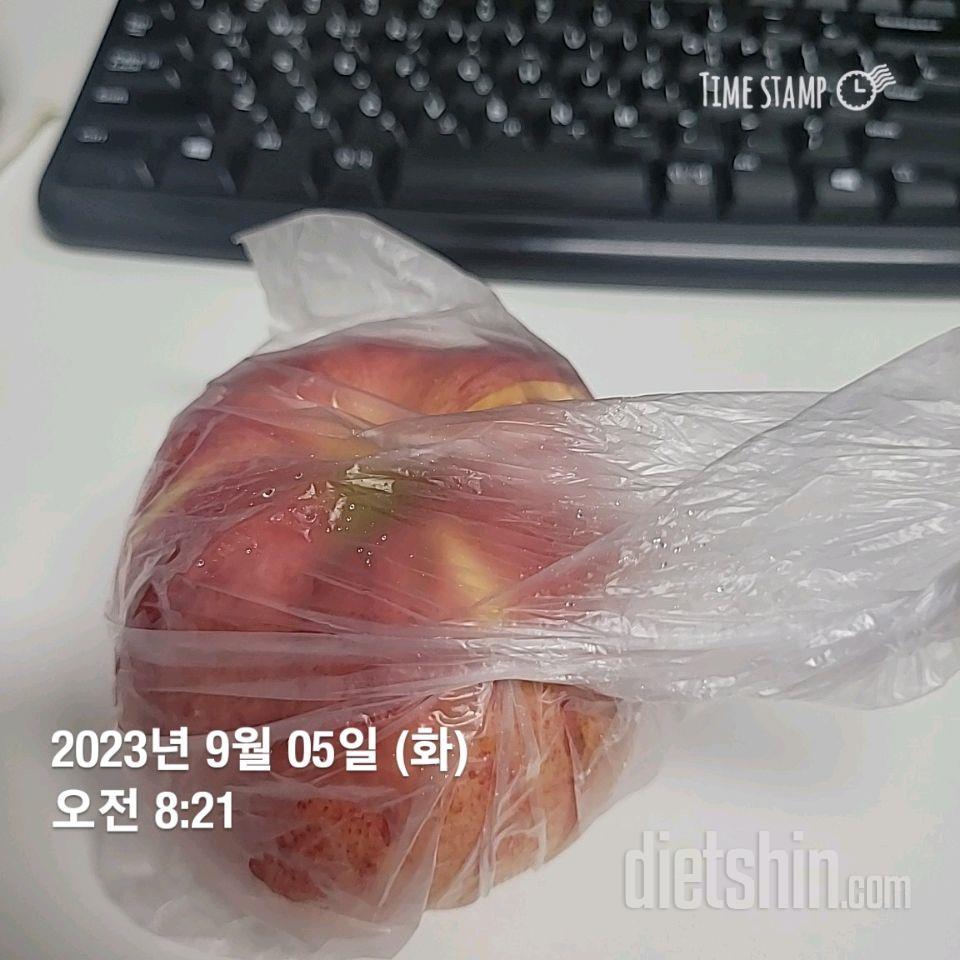 [다신 21기] 1일~12일차 '탄수화물 줄인식단' 모아보기