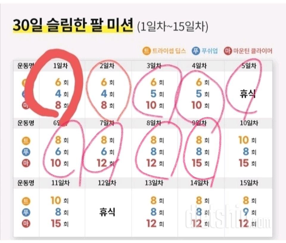 30일 슬림한 팔9일차 성공!