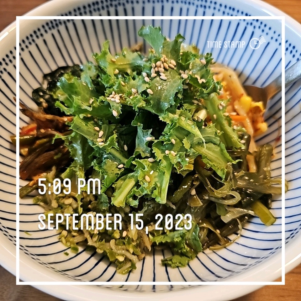 09월 15일( 점심식사 369kcal)