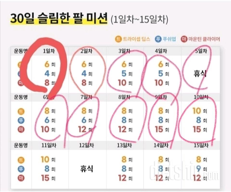 30일 슬림한 팔10일차 성공!