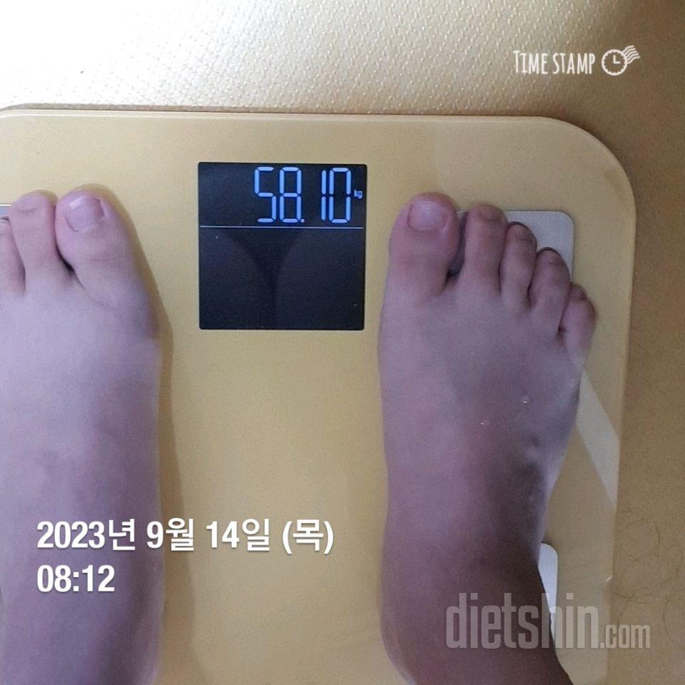 [다신 21기] 12일차 식단