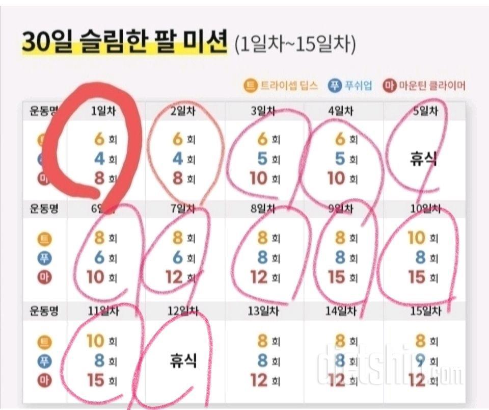 30일 슬림한 팔12일차 성공!