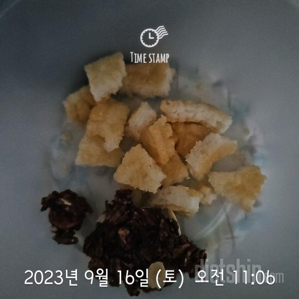 09월 16일( 오전간식 100kcal)