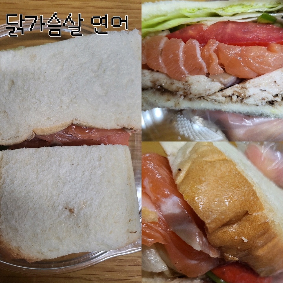 09월 16일( 점심식사 732kcal)