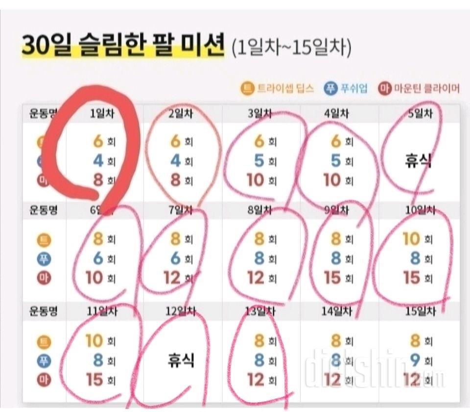 30일 슬림한 팔13일차 성공!