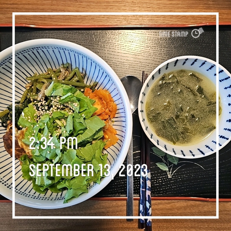 09월 13일( 점심식사 333kcal)