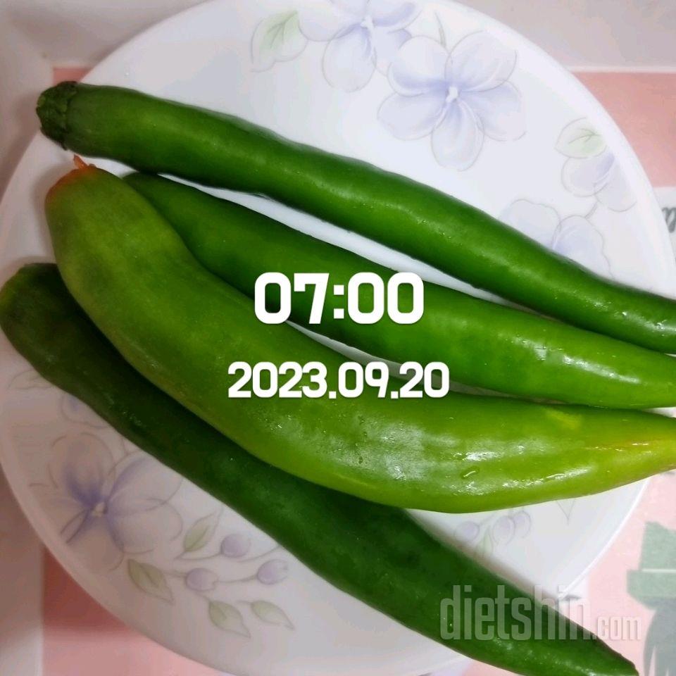 7일 하루 1끼 야채먹기15일차 성공!