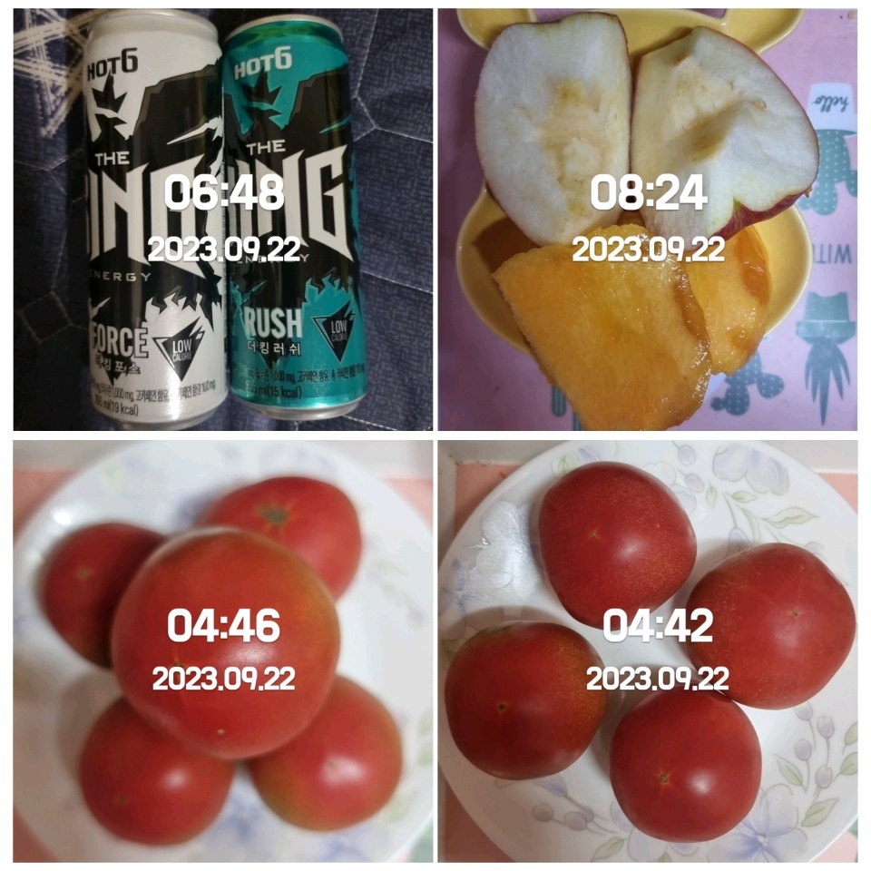 09월 22일( 아침식사 241kcal)