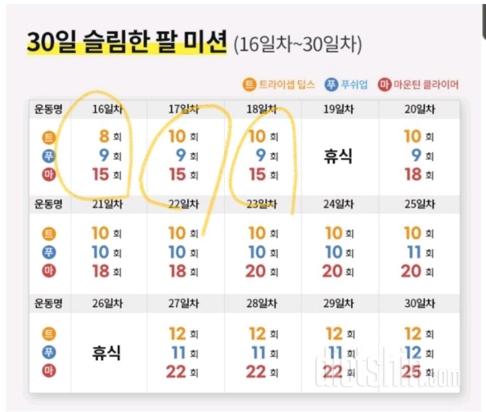 30일 슬림한 팔18일차 성공!