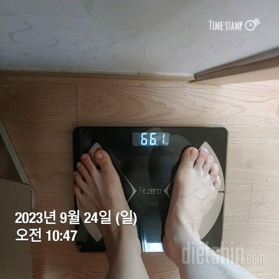 [다신 21기] 24일차 체중, 인바디