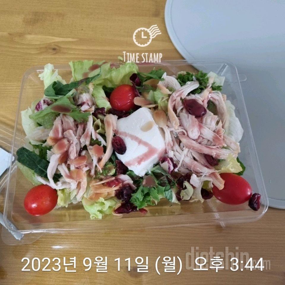[다신21기]식단
