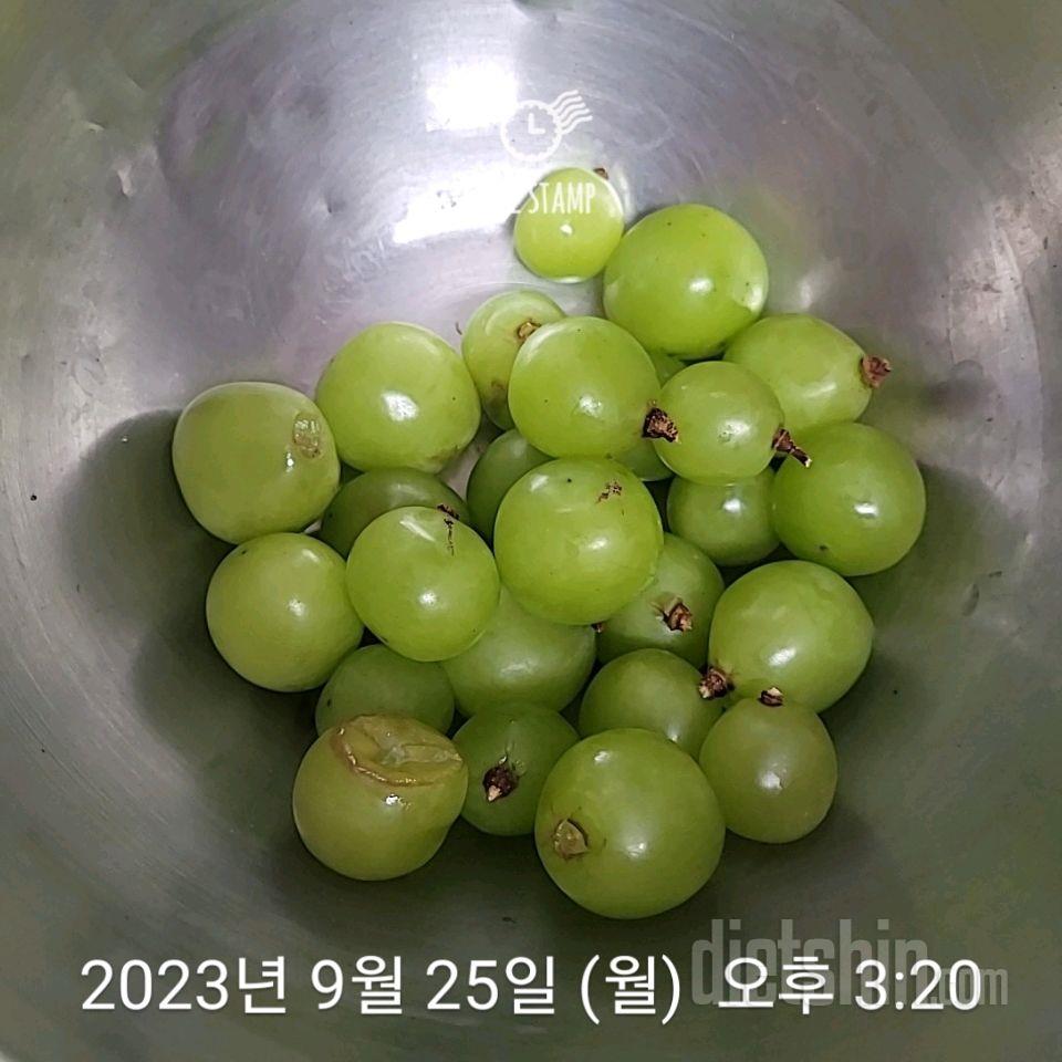 25일차식단