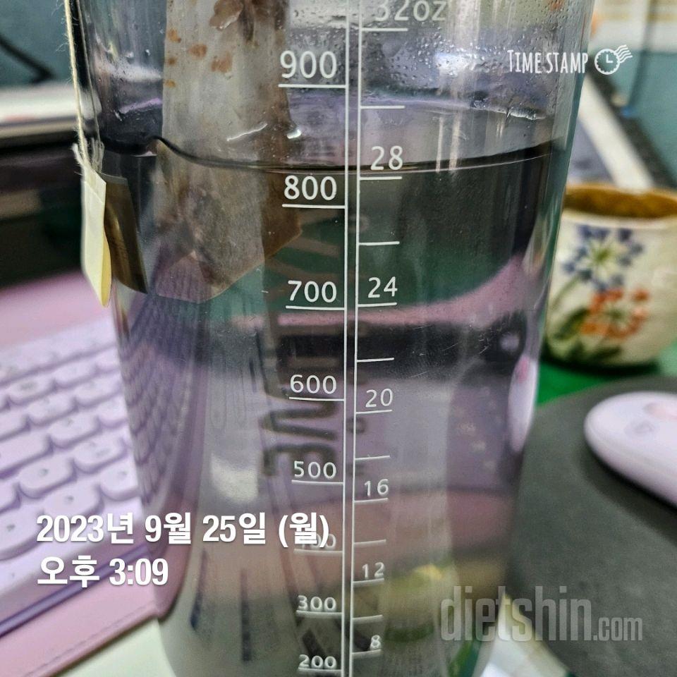 30일 하루 2L 물마시기5일차 성공!