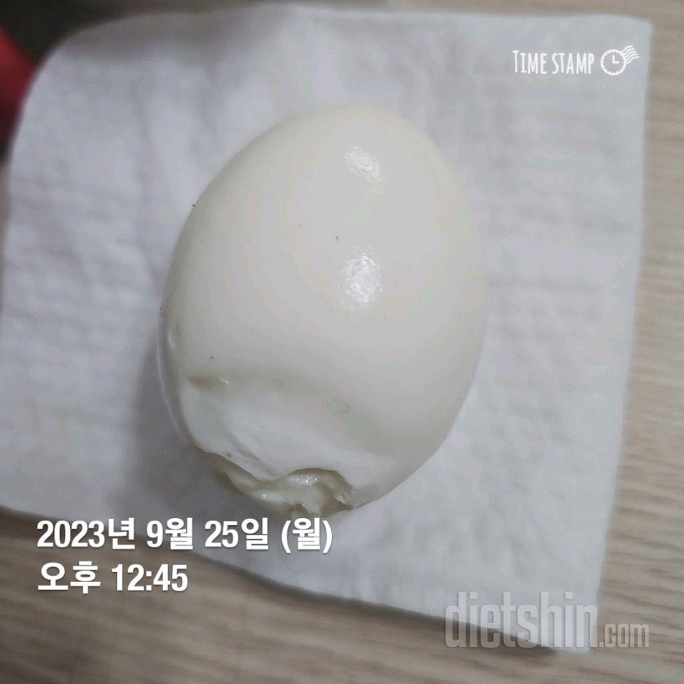 [다신21기] 22일차 식단과 운동