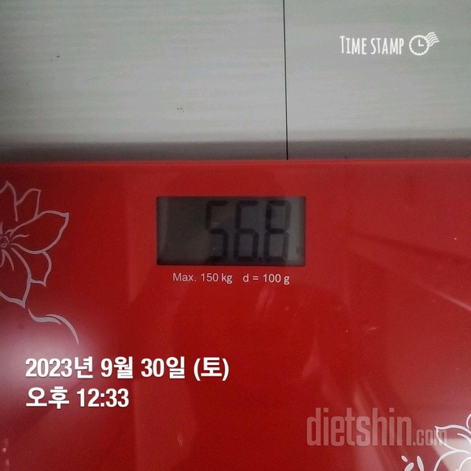 7일 아침 몸무게 재기12일차 성공!