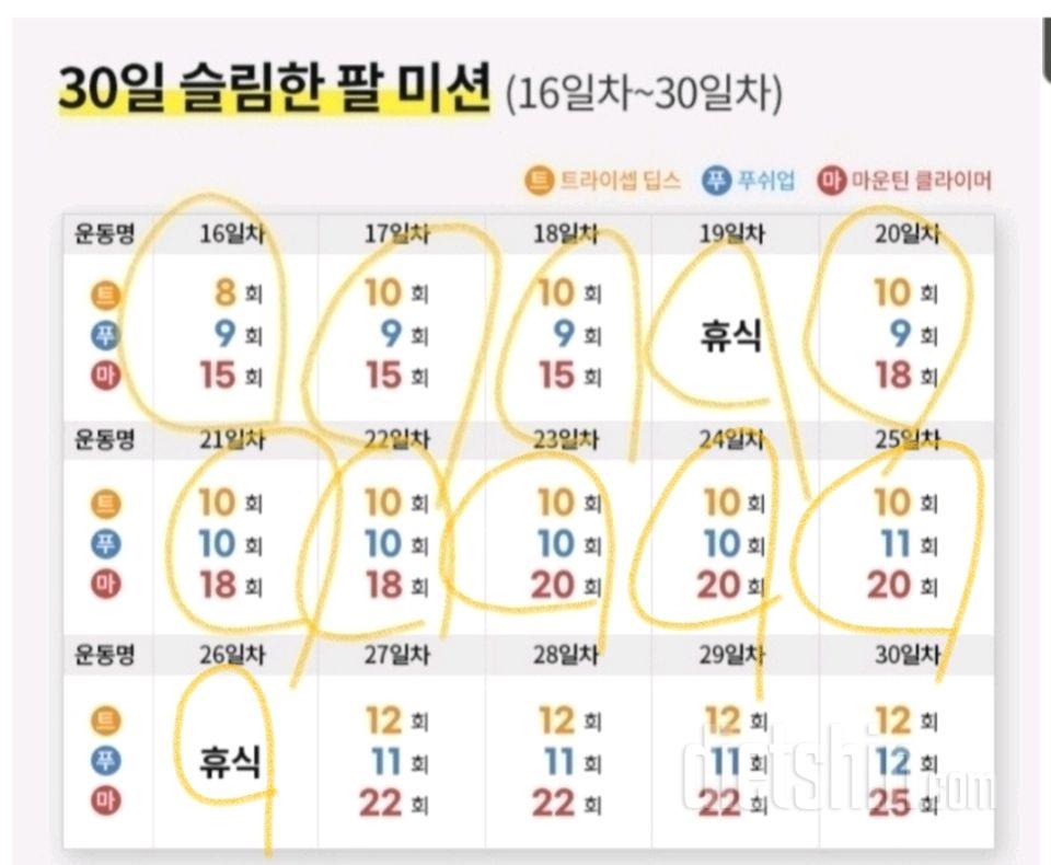 30일 슬림한 팔26일차 성공!