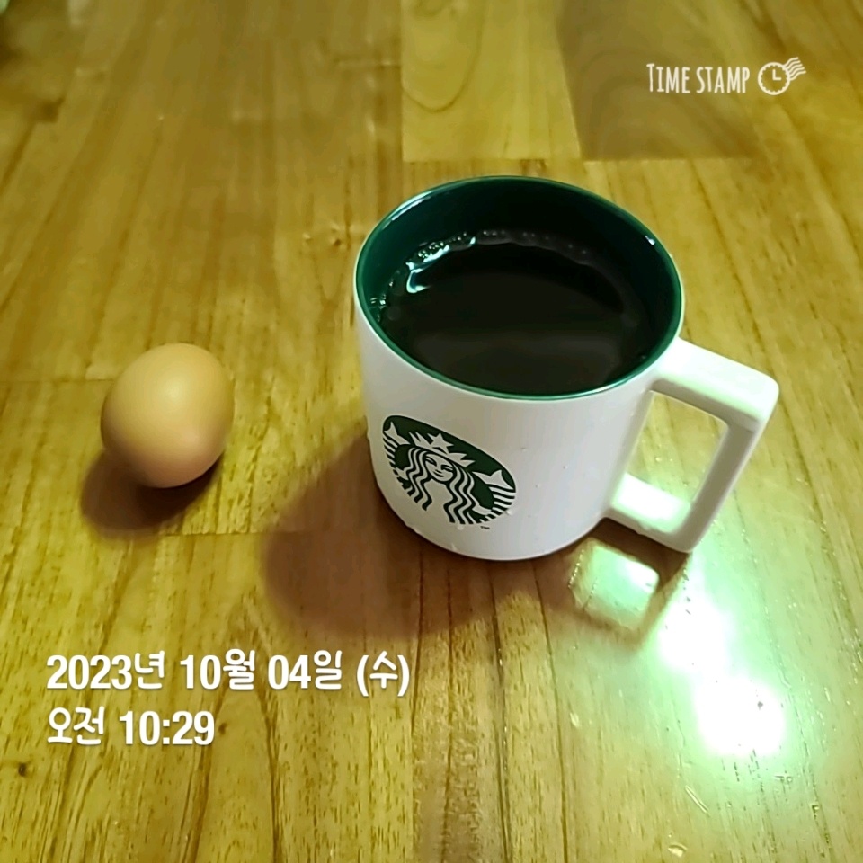 10월 04일( 오전간식 82kcal)