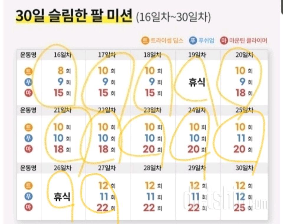 30일 슬림한 팔27일차 성공!