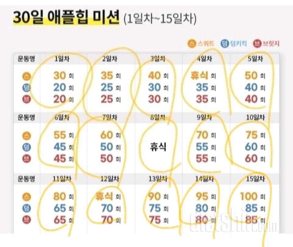 30일 애플힙15일차 성공!