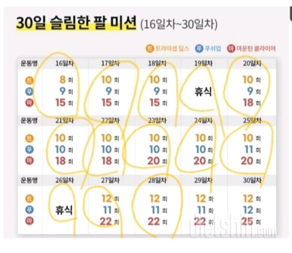 30일 슬림한 팔28일차 성공!