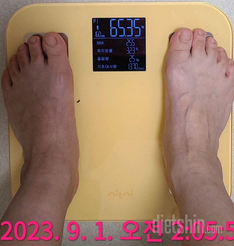 [다신21기] 36일차 최종후기