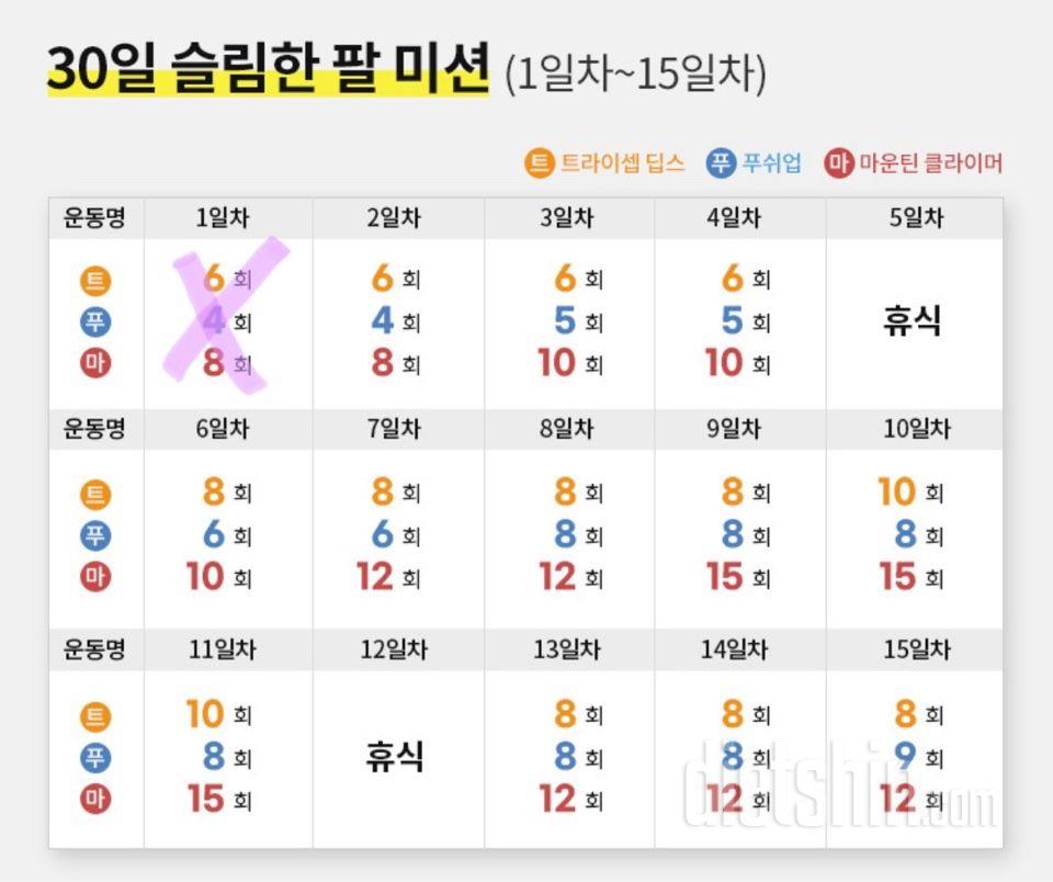 30일 슬림한 팔 1일차 성공!