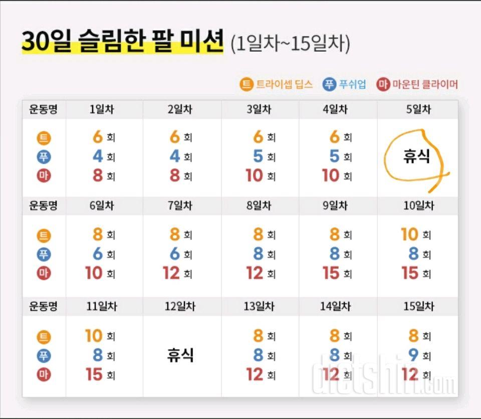 30일 슬림한 팔5일차 성공!