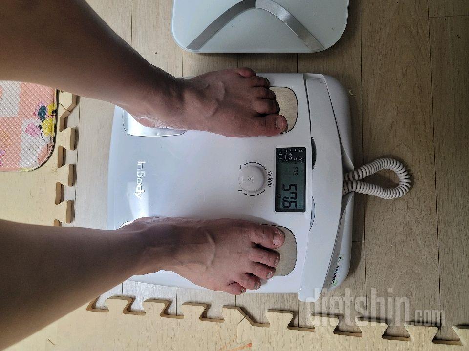 7일 아침 몸무게 재기6일차 성공!