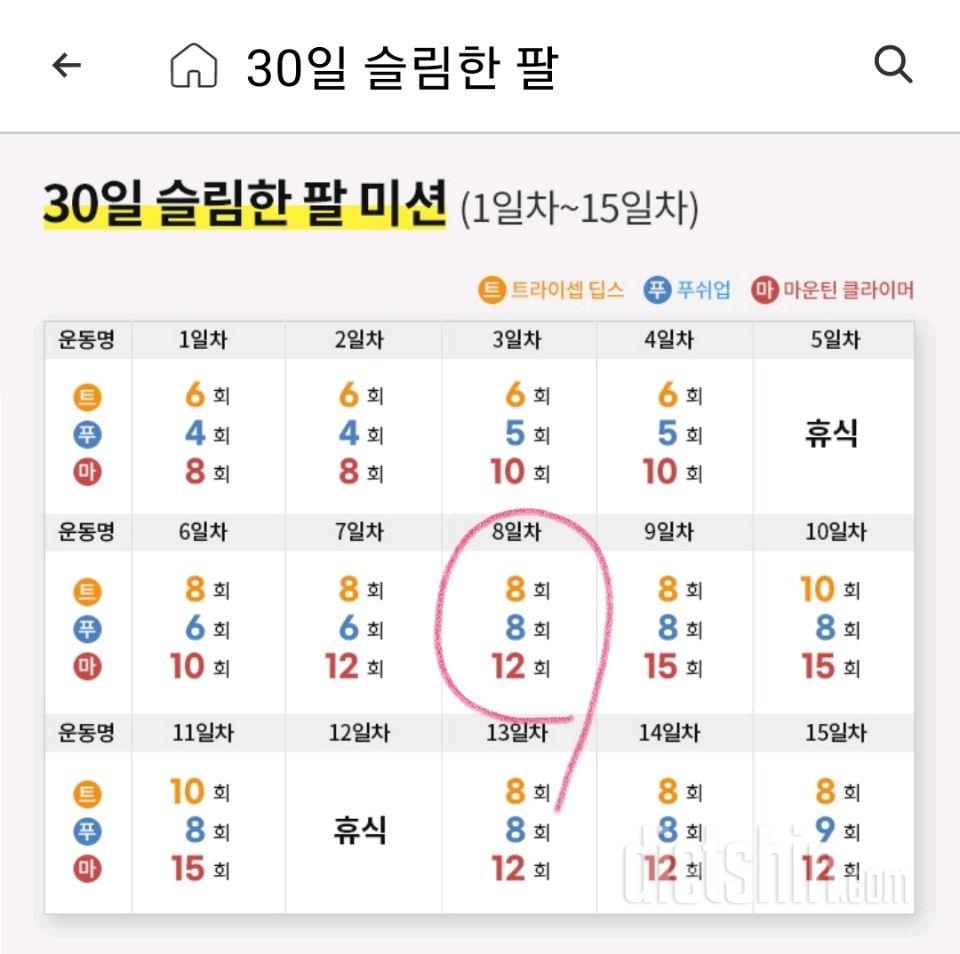 30일 슬림한 팔38일차 성공!