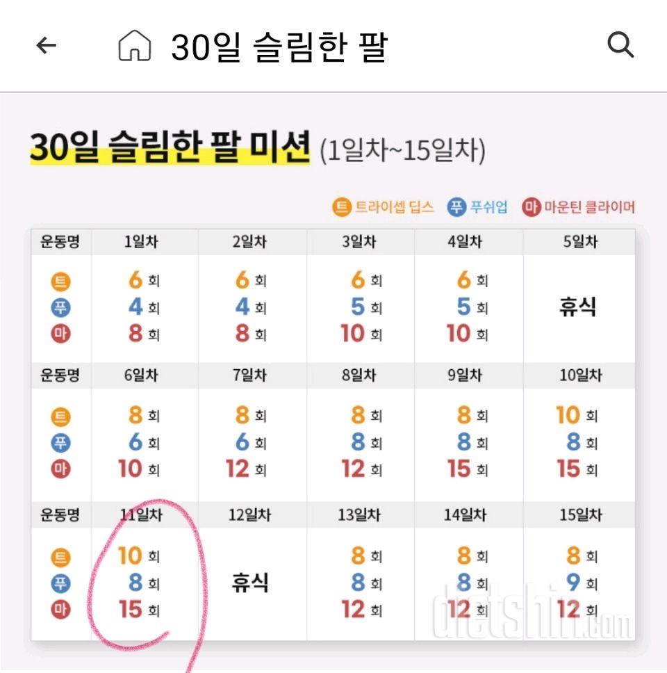 30일 슬림한 팔41일차 성공!