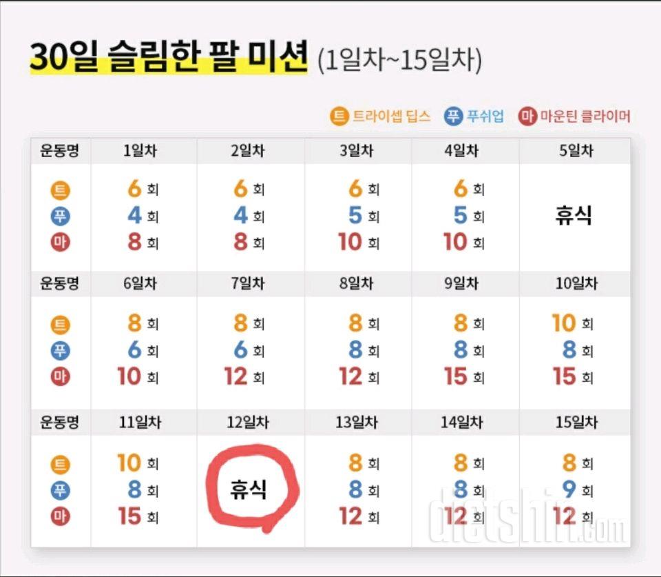 30일 슬림한 팔12일차 성공!