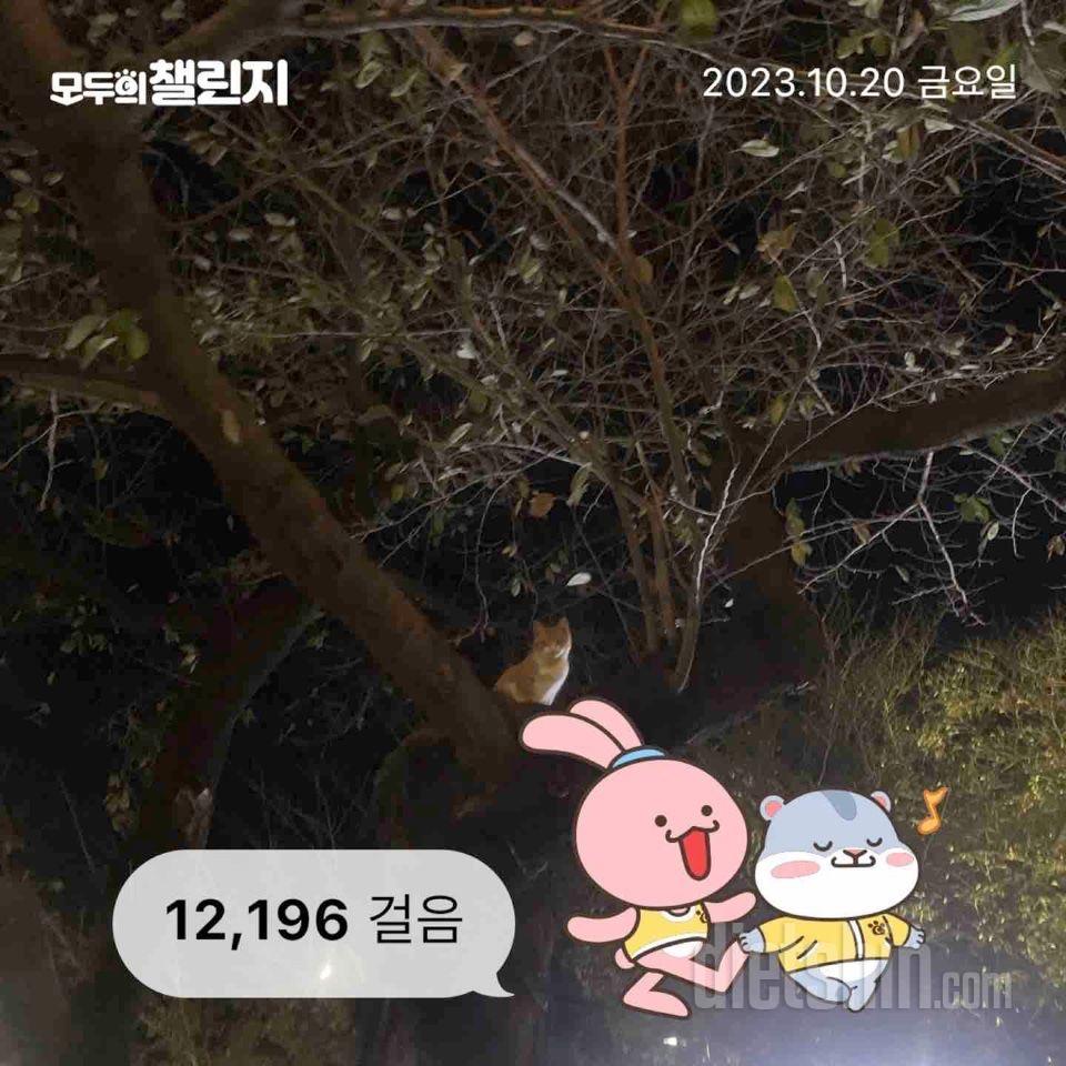 30일 만보 걷기6일차 성공!