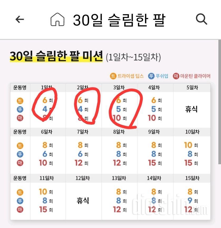 30일 슬림한 팔3일차 성공!