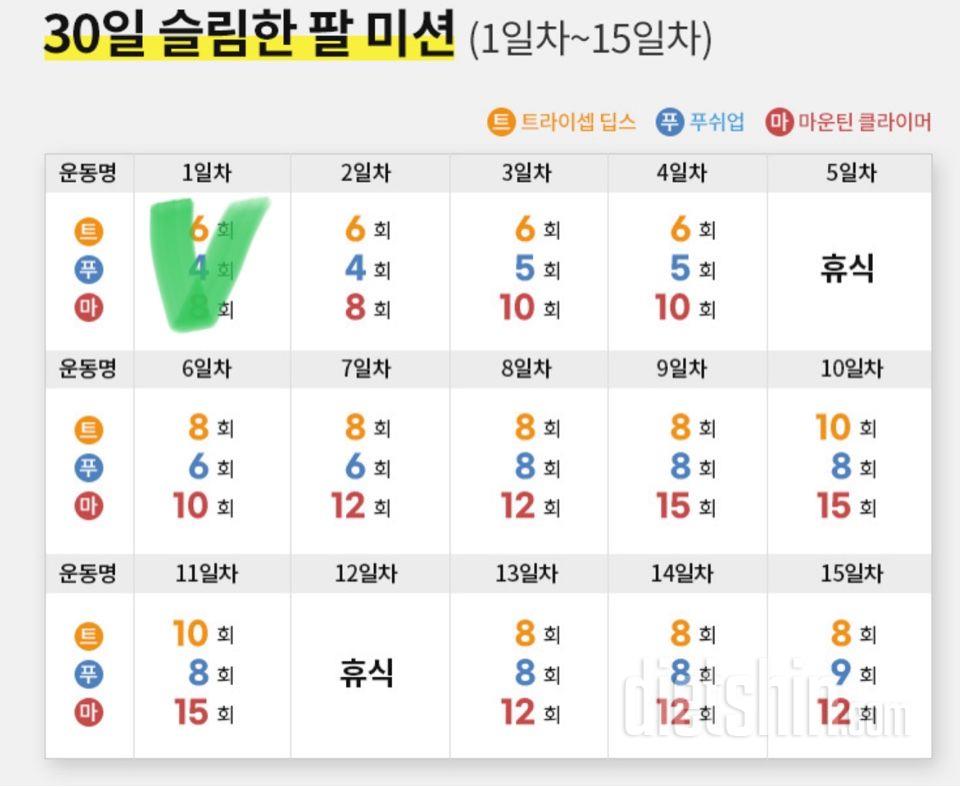 30일 슬림한 팔1일차 성공!