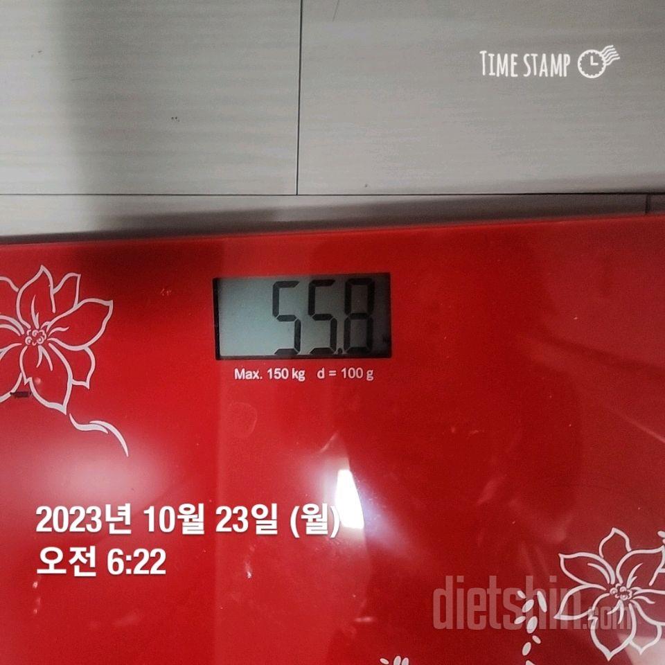 7일 아침 몸무게 재기28일차 성공!