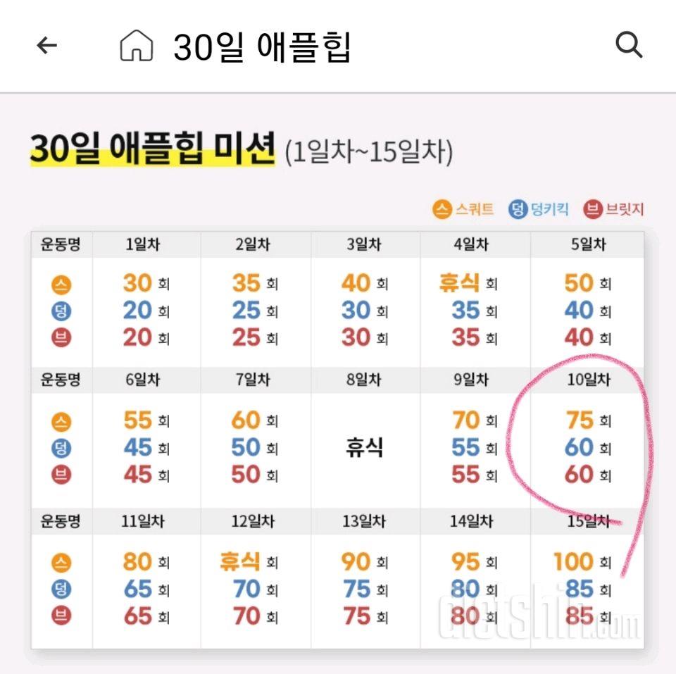 30일 애플힙10일차 성공!