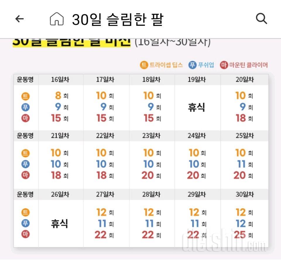 30일 슬림한 팔47일차 성공!