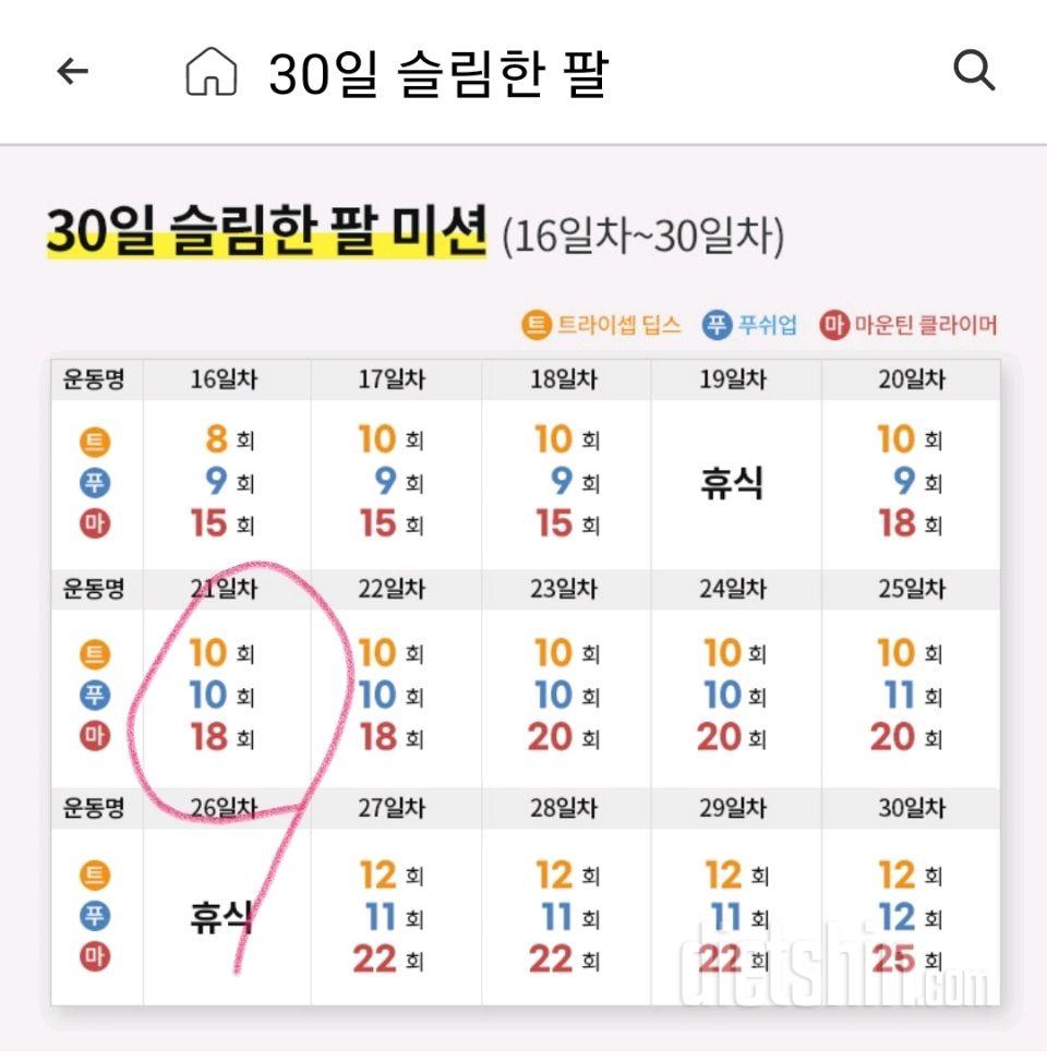 30일 슬림한 팔51일차 성공!