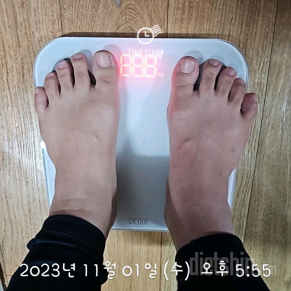 [다신22기]  체중눈바디