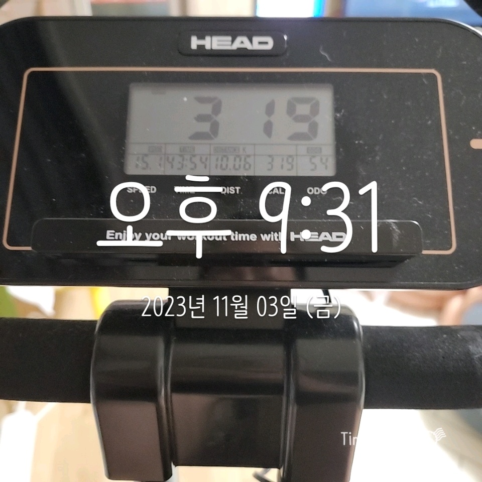 11월 03일( 운동 440kcal)