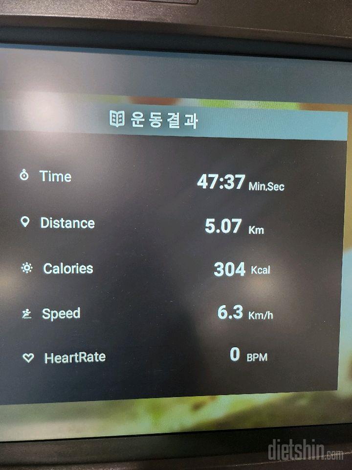 11월 02일( 운동 313kcal)