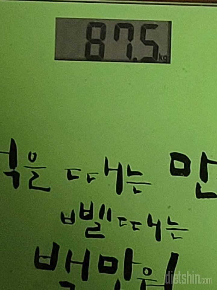 7일 아침 몸무게 재기2일차 성공!