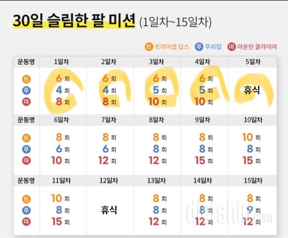 30일 슬림한 팔4일차 성공!