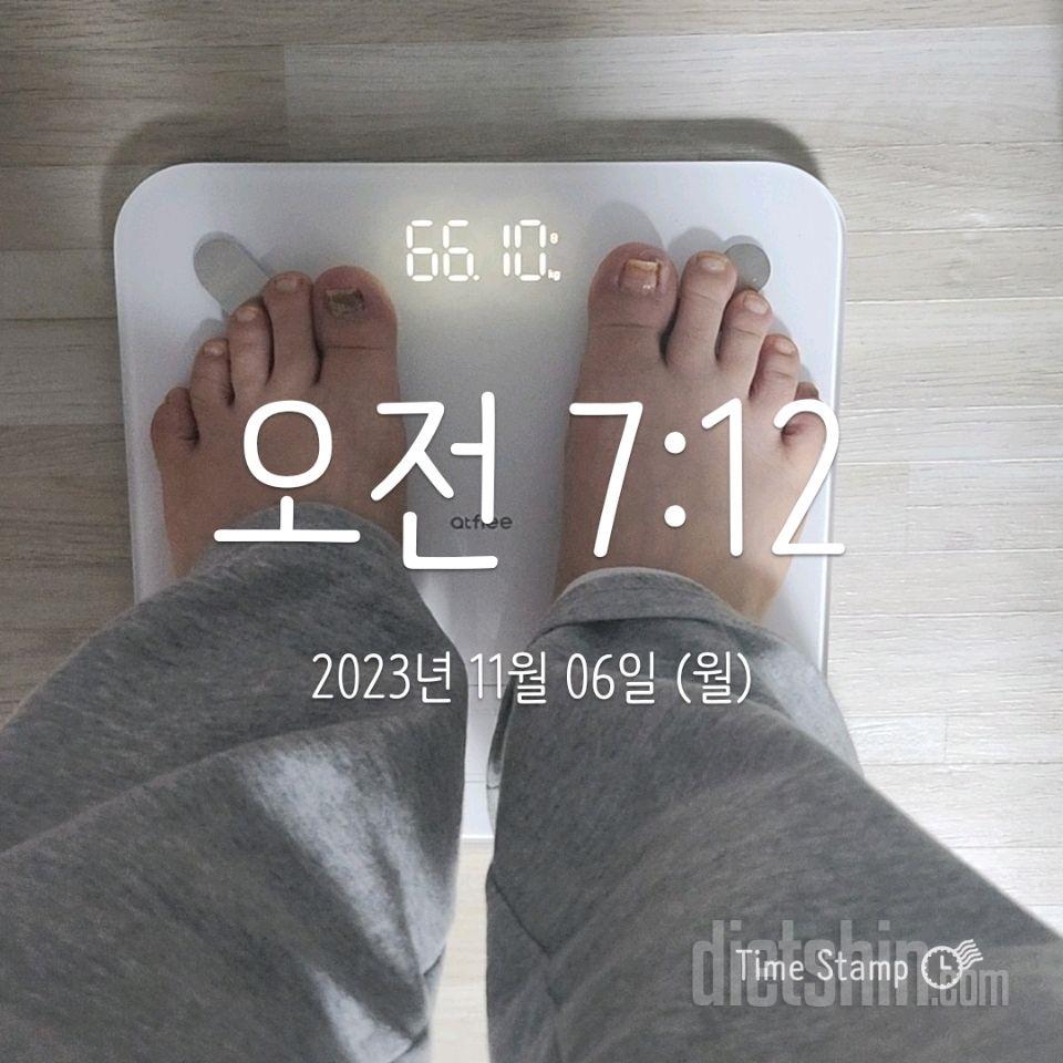 [다신22기]6일차 몸무게&팔살눈바디&식단&운동