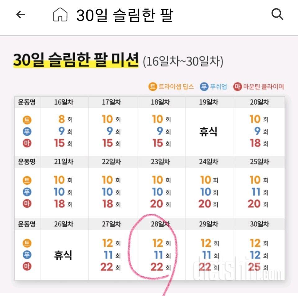 30일 슬림한 팔58일차 성공!