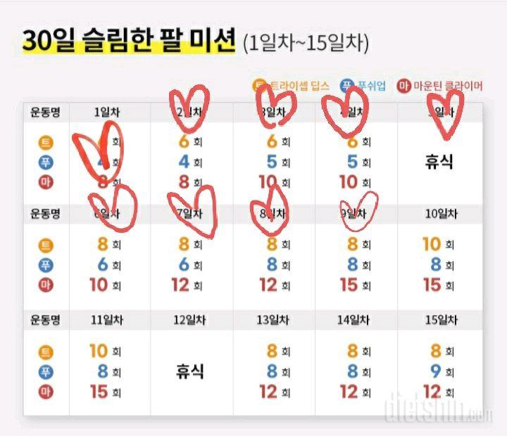 30일 슬림한 팔9일차 성공!