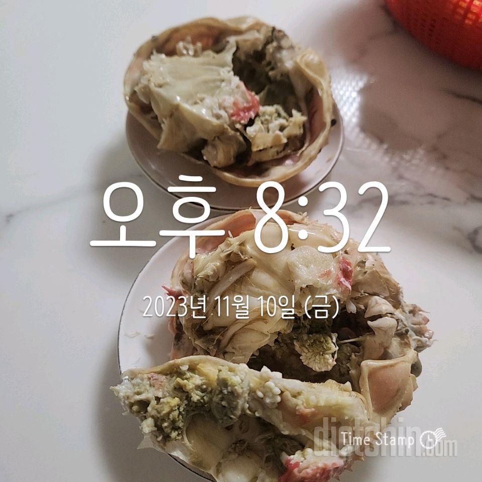 7일차 : 대자연 착륙 전야제